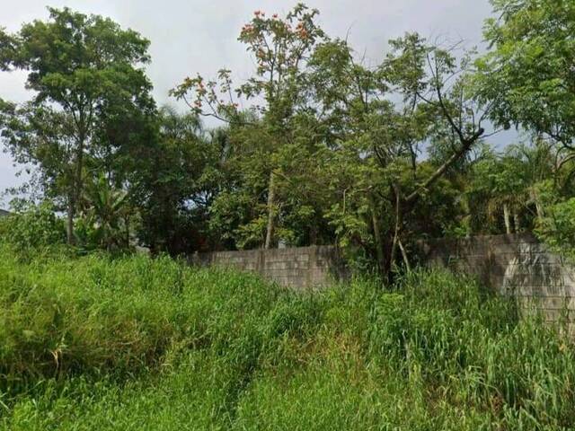#125 - Área para Venda em Itaquaquecetuba - SP - 3