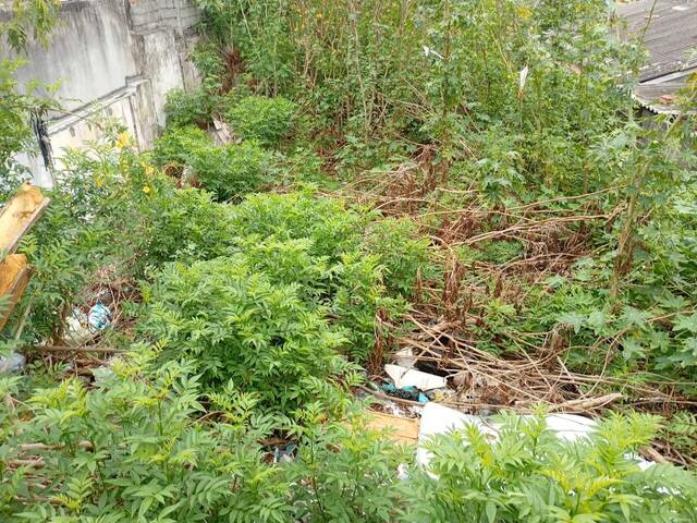 #186 - Área para Venda em São Paulo - SP - 1