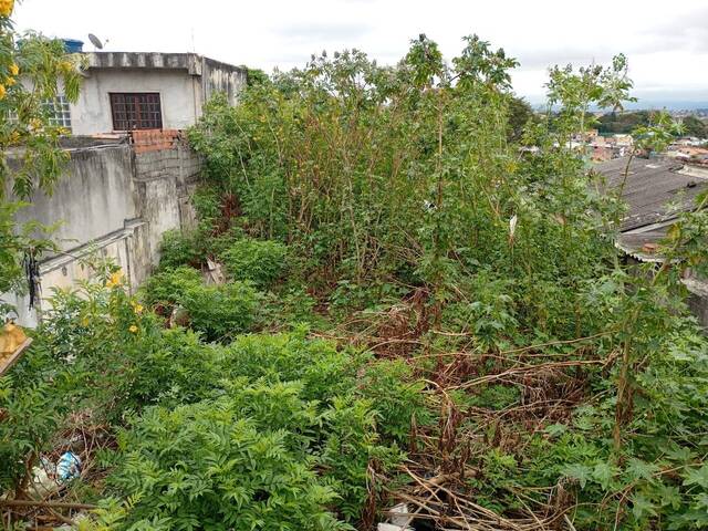 #186 - Área para Venda em São Paulo - SP - 2